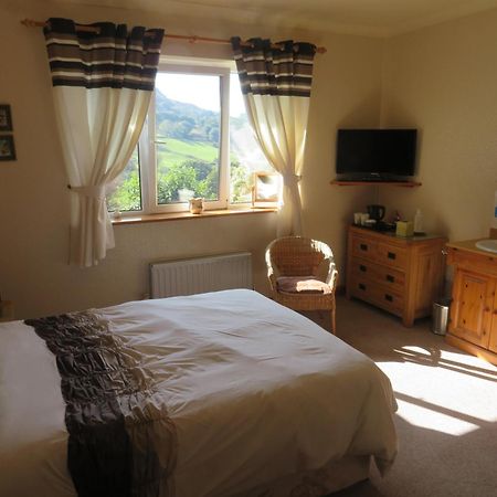 Heulwen Guest House Llanfachreth Kültér fotó