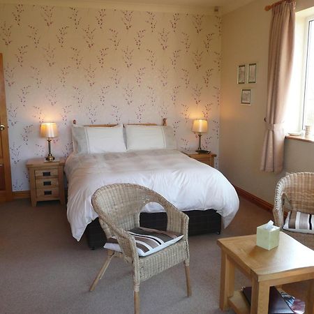 Heulwen Guest House Llanfachreth Kültér fotó