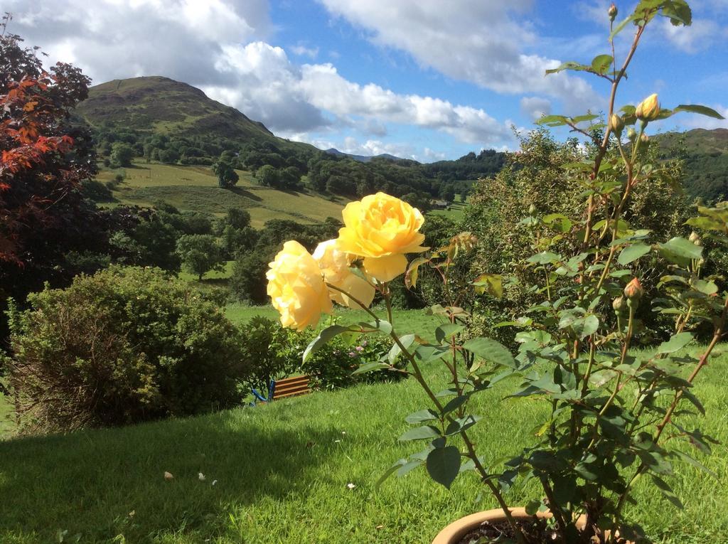 Heulwen Guest House Llanfachreth Kültér fotó